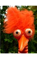 Notebook: Orange Fuzzy Hair Bird Cover - Lined Notebook - Journal - Composition Book - 8.5 X 11 Paper - College Ruled - 100 Pages
