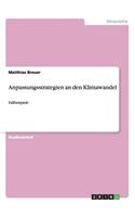 Anpassungsstrategien an den Klimawandel