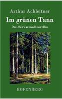 Im grünen Tann: Drei Schwarzwaldnovellen(German)