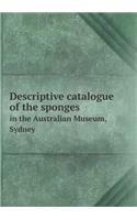 Descriptive catalogue of the sponges in the Australian Museum, Sydney: (English)