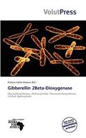 Gibberellin 2beta-Dioxygenase: (English)