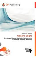 Cesare Segre