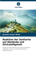 Reaktion der Senfsorte auf Abstände und Stickstoffgehalt