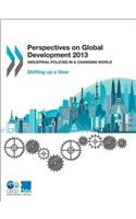 Perspectives on Global Development 2013
