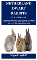 Netherland Dwarf Rabbits for Newbies