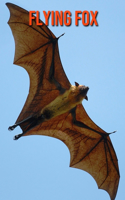 Flying Fox: Fun Facts & Cool Pictures