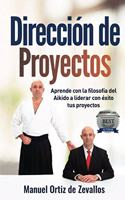 Dirección de Proyectos: Aprende con la filosofía del Aikido a liderar con éxito tus proyectos