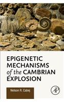 Epigenetic Mechanisms of the Cambrian Explosion