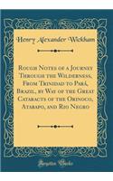 Rough Notes of a Journey Through the Wilderness, From Trinidad to Pará, Brazil, by Way of the Great Cataracts of the Orinoco, Atabapo, and Rio Negro (Classic Reprint)