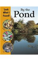 By The Pond