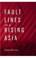 Fault Lines in a Rising Asia