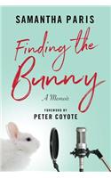 Finding the Bunny