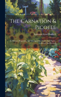 The Carnation & Picotee