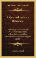 A Gyermekvedelem Bolcselete: Szocziologiai Tanulmanyok A Gyermekvedelemnek A Szoczializmusszal Es A Darwinizmusszal Valo Viszonyarol (1908)(Hebrew)