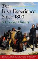 The Irish Experience Since 1800: A Concise History