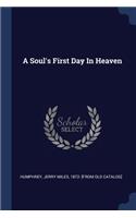 A Soul's First Day In Heaven