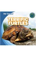 Terrific Turtles