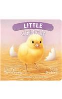 Little Chick