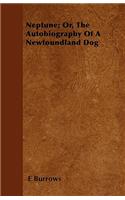 Neptune; Or, The Autobiography Of A Newfoundland Dog