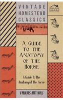 Guide to the Anatomy of the Horse - A Collection of Historical Articles on the Skeleton, Hoof, Teeth, Locomotion and Other Aspects of Equine Anato