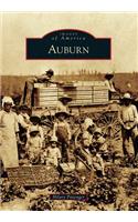Auburn