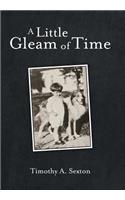 Little Gleam of Time