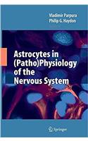 Astrocytes in (Patho)Physiology of the Nervous System