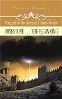 Rosestone . . . the Beginning
