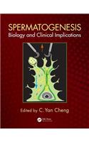 Spermatogenesis