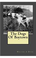 The Dogs Of Boytown