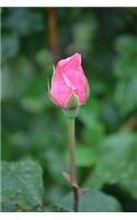 Pink Rosebud Journal