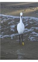 Snowy Egret on the Beach Journal: 150 page lined notebook/diary