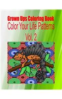 Grown Ups Coloring Book Color Your Life Patterns Vol. 2