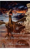 Adventures of the Hidden Princess
