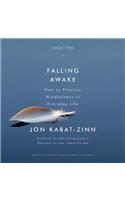 Falling Awake