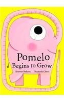 Pomelo Begins to Grow