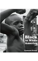 Black in White America