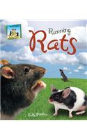 Running Rats