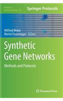 Synthetic Gene Networks