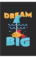 Dream Big