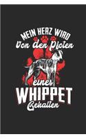 Mein Herz Wird Von Den Pfoten eines Whippet Gehalten