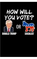 How Will You Vote? Donald Trump or Socialist