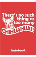 There's no such thing as too many chihuahuas