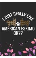 I Just Really Like American Eskimo Ok?