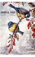 2020 & 2021 Two Year Weekly Planner - Appointment Book Gift - Two-Year Agenda Notebook For Bird Lover