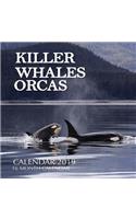 Killer Whales Orcas Calendar 2019