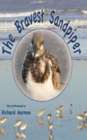 Bravest Sandpiper