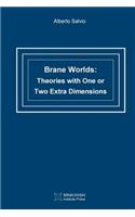 Brane Worlds: Theories with One or Two Extra Dimensions