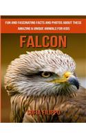 Falcon