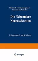 Die Nebenniere. Neurosekretion.